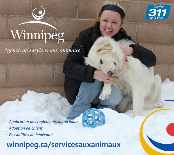 311 Services municipaux : Agence des fourrières :
                , Permis de garde d’animal
                , Règlements municipaux
                , Adoption de chiens
                , Possibilités de bénévolat
                Winnipeg.ca/animalservices
                